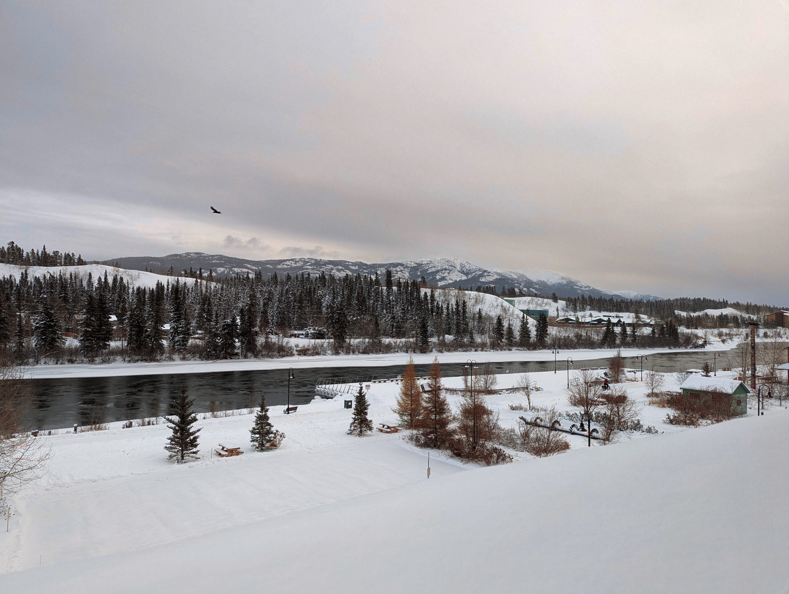 Is the Yukon Worth Visiting in Winter? What You Need to Know