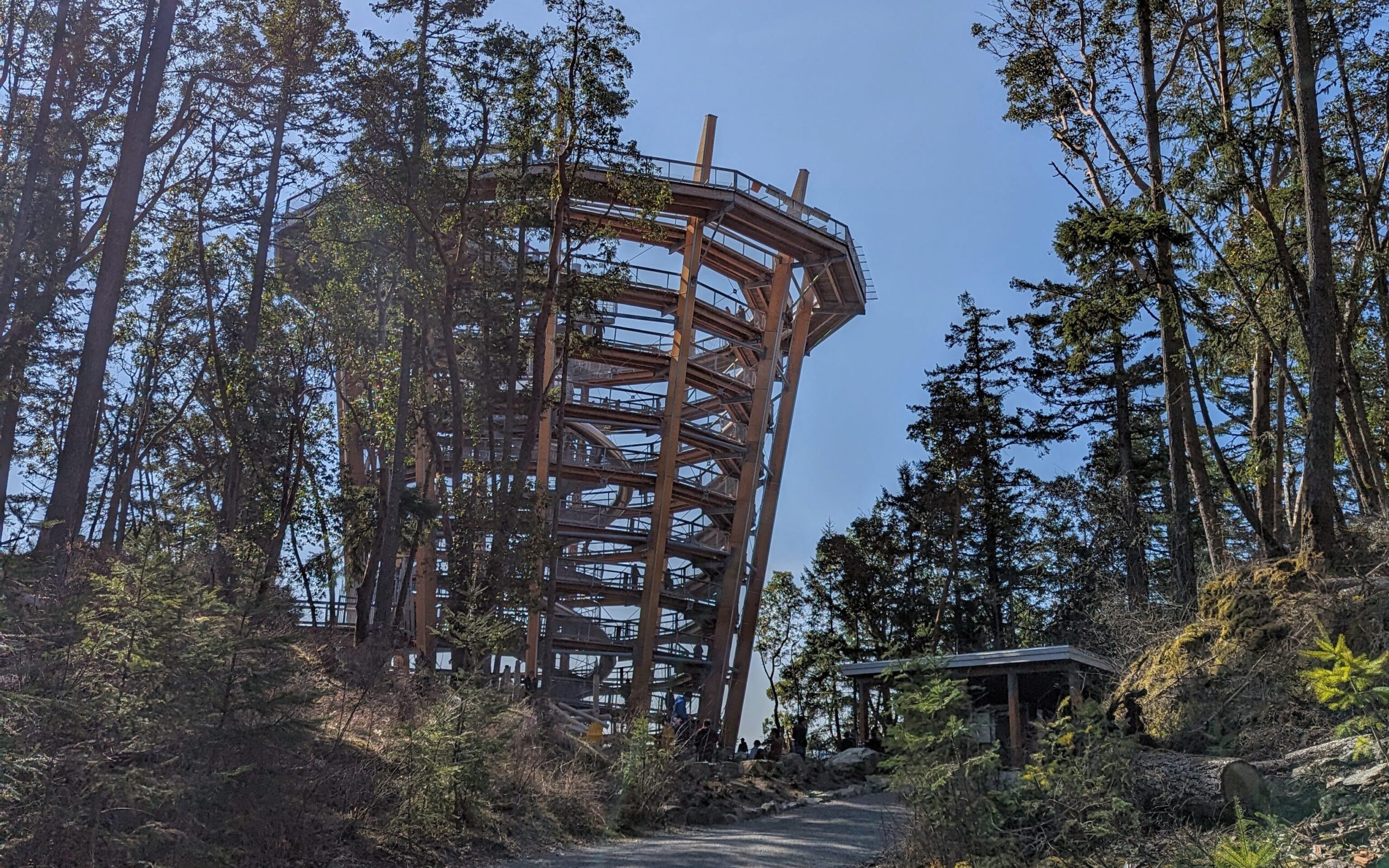 Malahat SkyWalk Review: What You Need to Know Before You Go