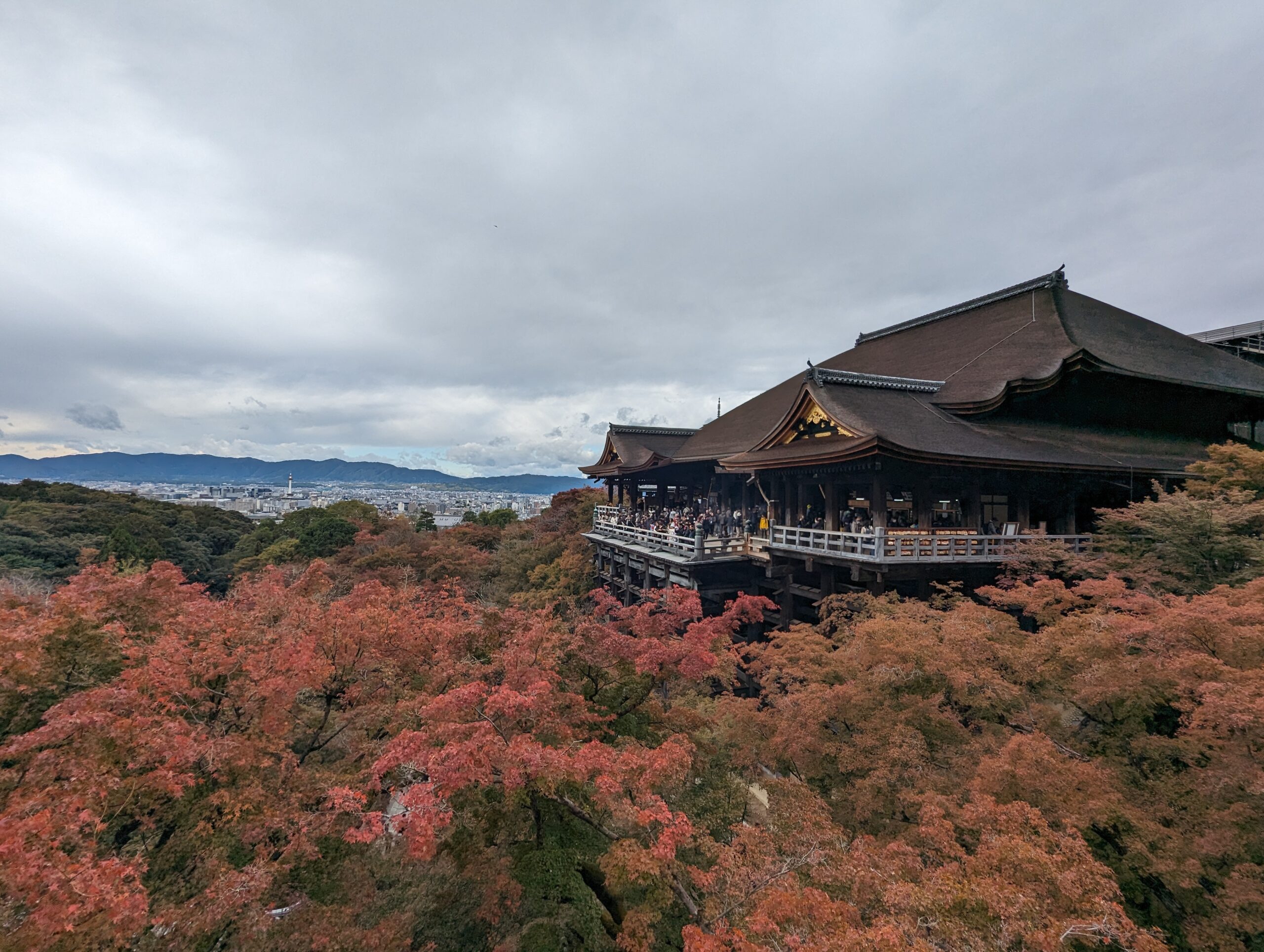 Japan in November: Everything You Need to Know